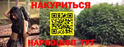 гидра Шебекино