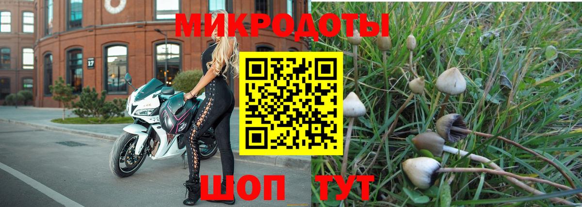 магазин    Галлюциногенные грибы Magic Shrooms  Кстово  Вход с VPN  Псилоцибиновые грибы мицелий 