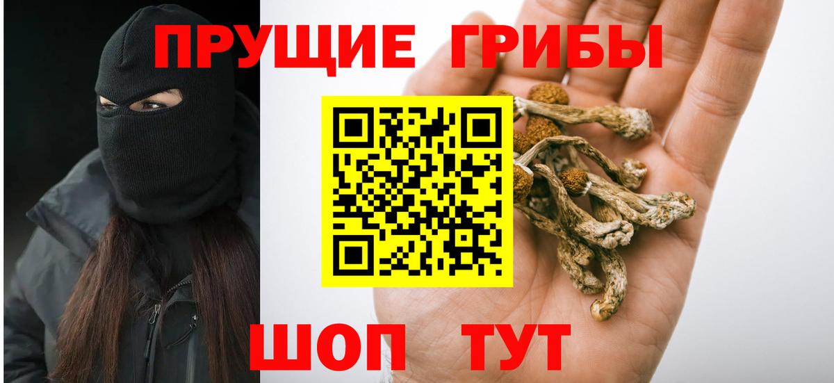 Галлюциногенные грибы Psilocybine cubensis Кстово